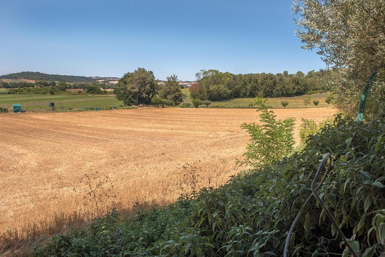 Appartamento N255 - Numana, trilocale con aria condizionata Marcelli Esterno foto